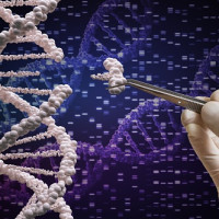 Regenerasi Genetik dengan CRISPR: Menelusuri Kemungkinan Baru dalam Perawatan Kanker