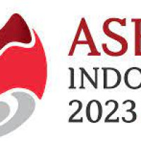 INDONESIA DALAM KEKETUAAN ASEAN 2023: PEMBANGUNAN yang BERDAYA dan INKLUSIF, SEBAGAI TAMPUK MASA DEPAN ASEAN