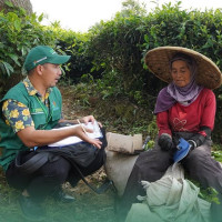 Masa Depan Pertanian Indonesia: Peran Vital dan Tantangan Sensus Pertanian 2023
