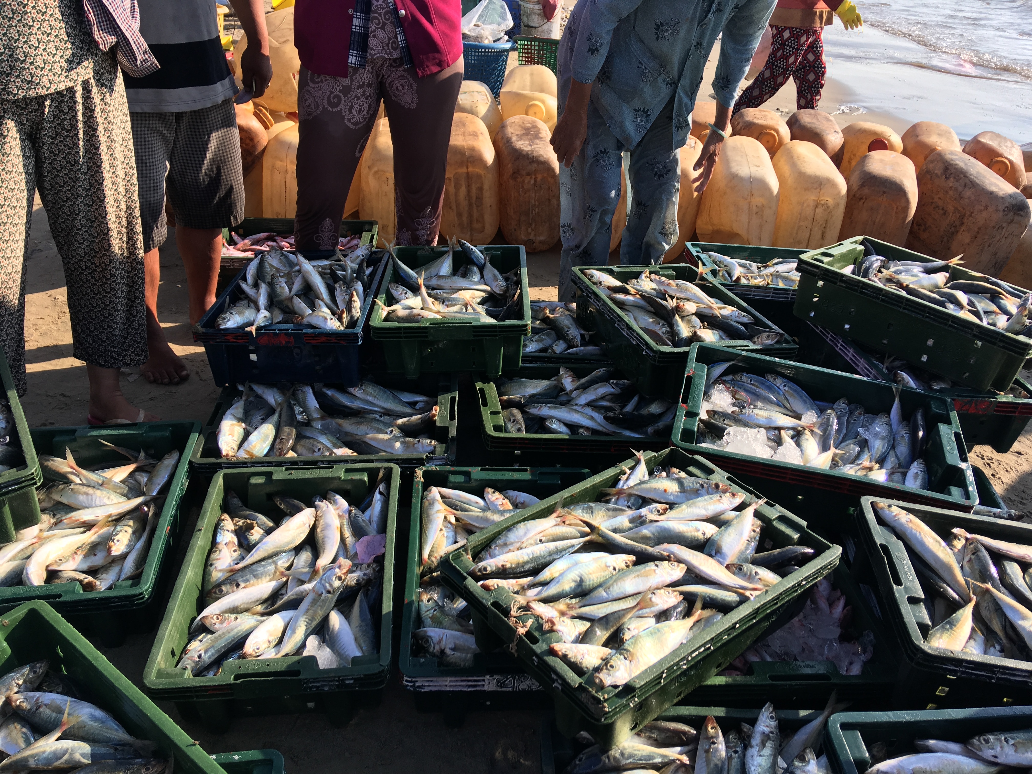 Pasar ikan di mancanegara