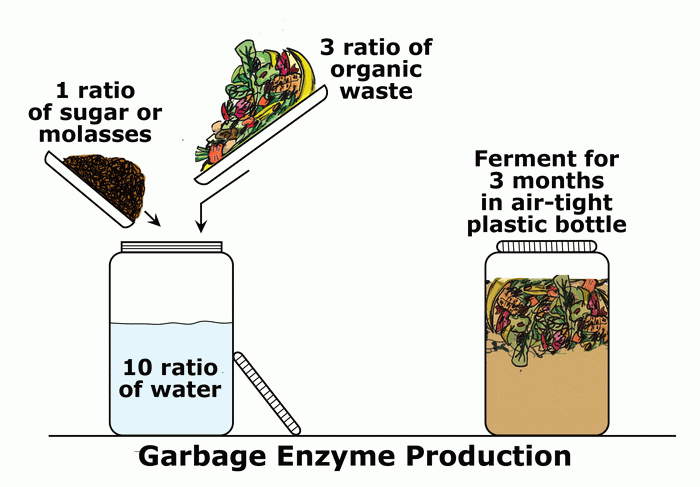 Perbandingan komposisi pembuatan Eco Enzyme 