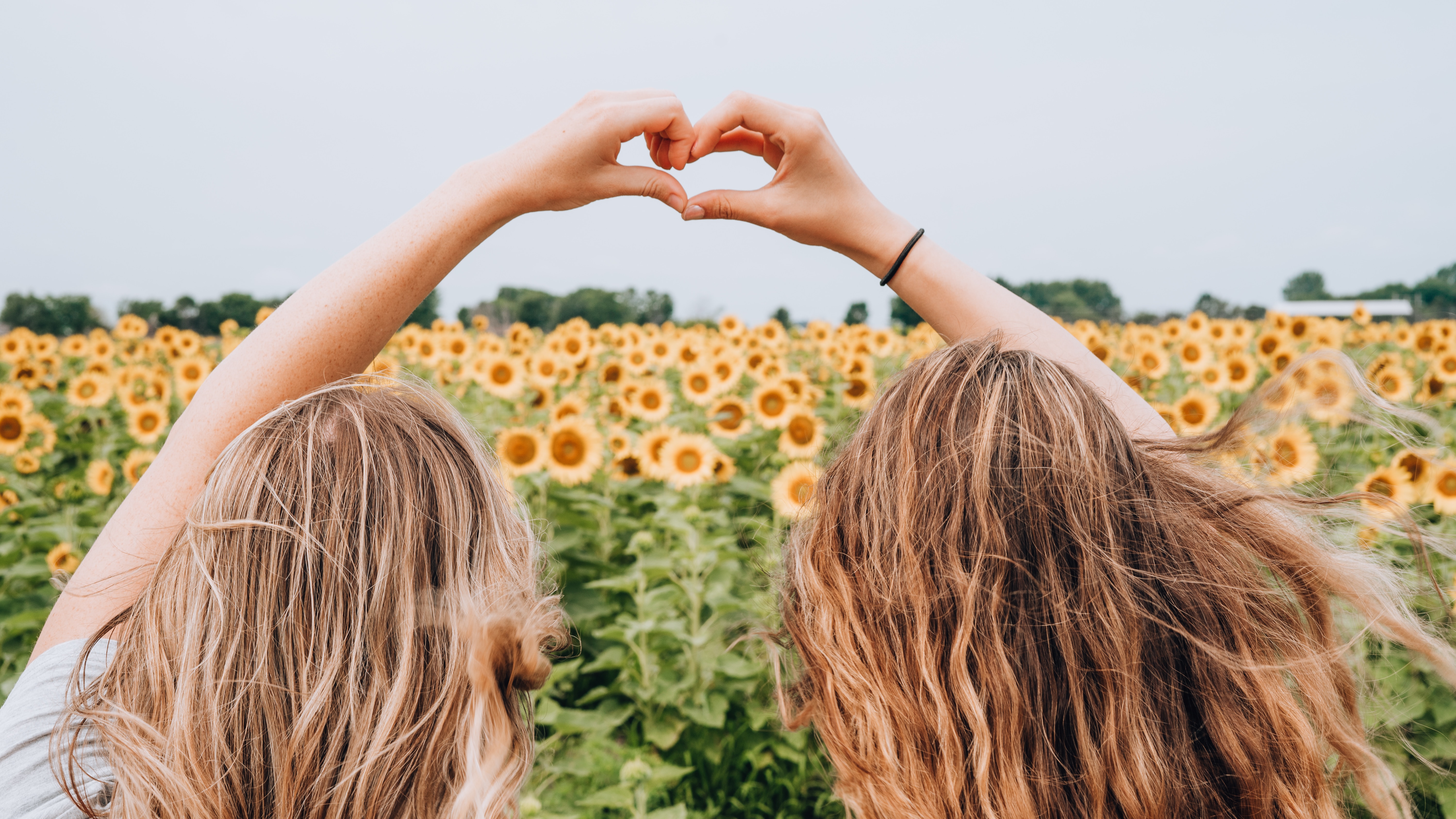Dua Wanita Membentuk Bentuk Hati Menggunakan Tangan Menghadap Ke Ladang Bunga Matahari Pada Siang Hari
